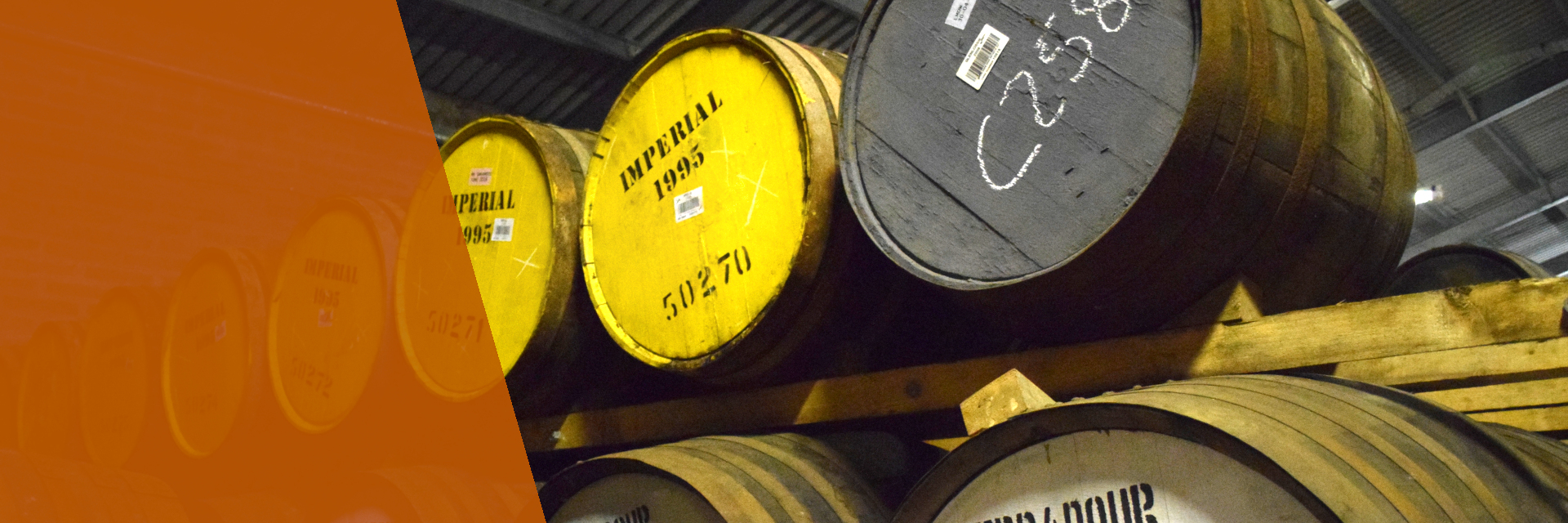 Signatory Vintage : le géant méconnu du whisky indépendant