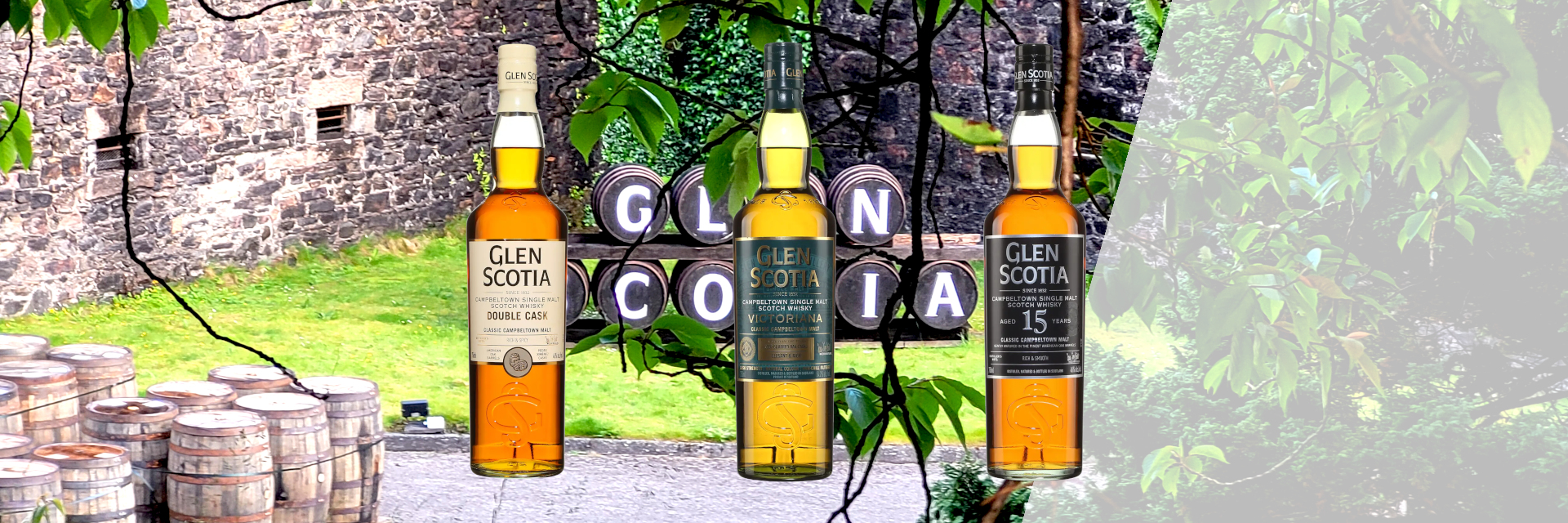 La Bataille Royale IX : les Glen Scotia Double Cask, Victoriana et 15 ans