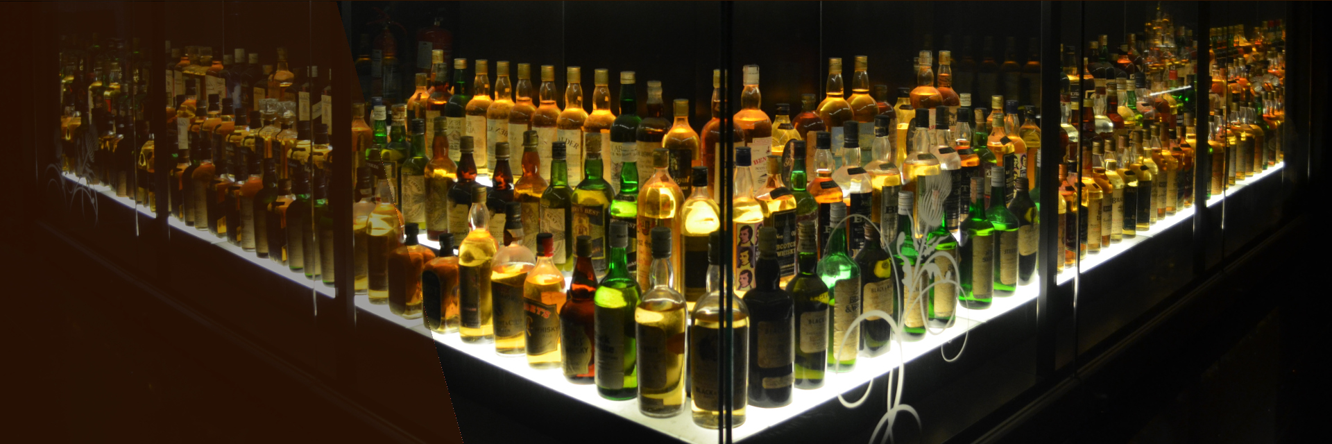 Une année riche en plaisir et en découverte