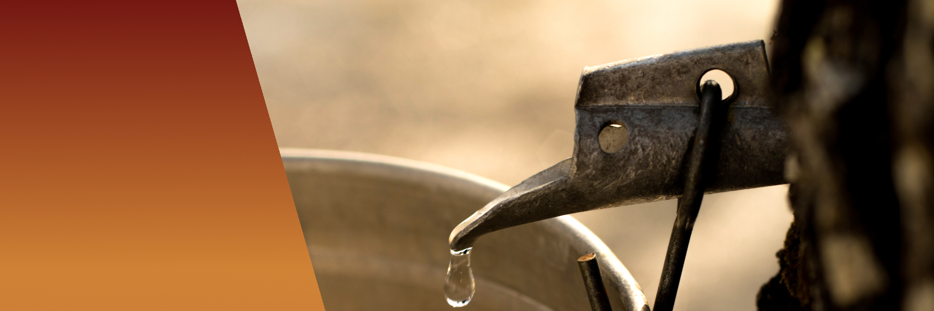 Le temps des sucres : on a fait quoi avec du whisky?!