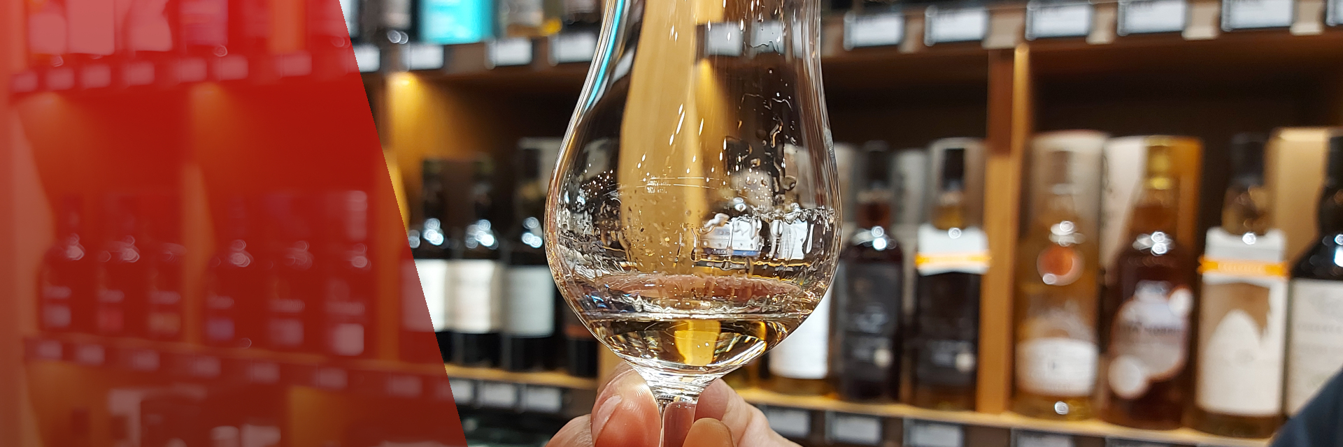 Notre top 5 de l'année 2025