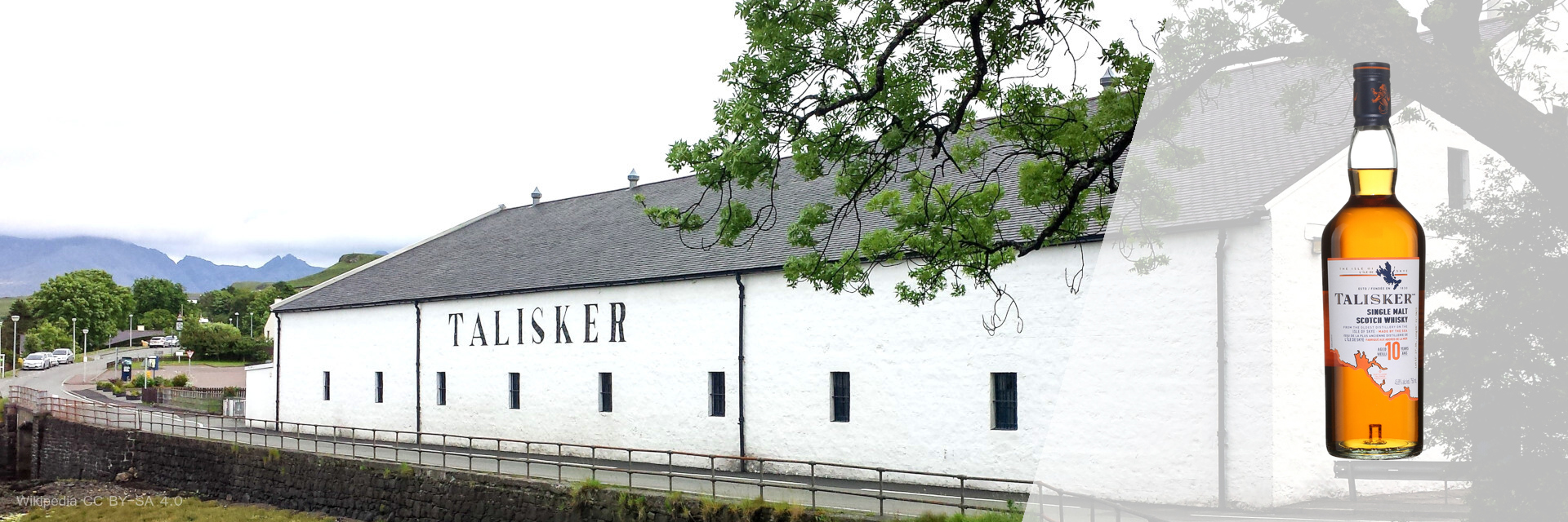 Talisker 10 ans