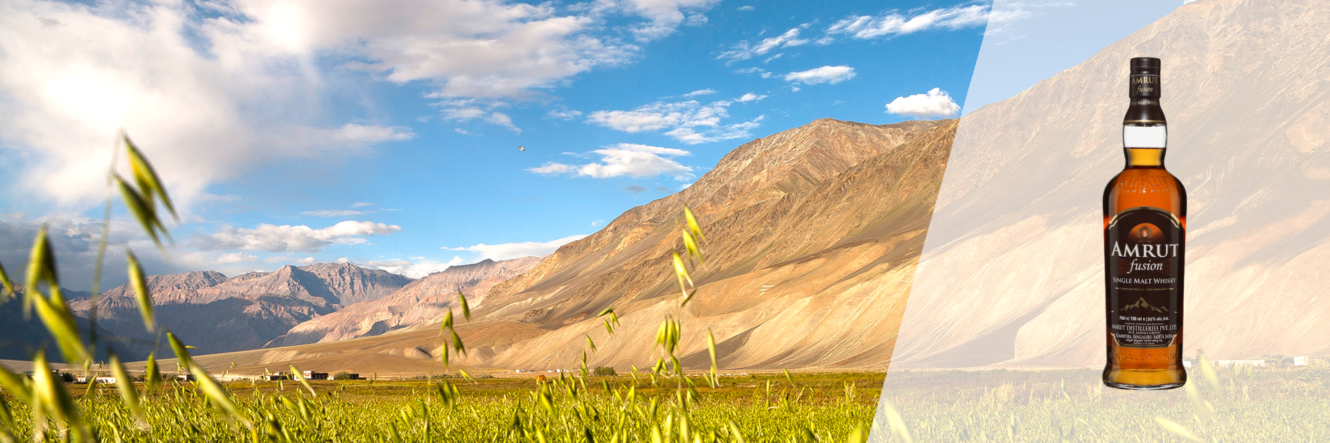 Amrut Fusion